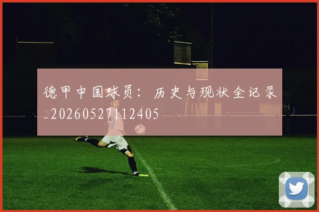 德甲中国球员：历史与现状全记录_20260527112405