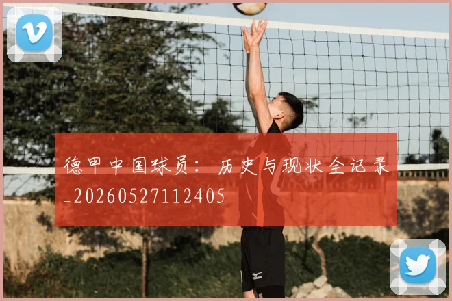 德甲中国球员:历史与现状全记录_20260527112405