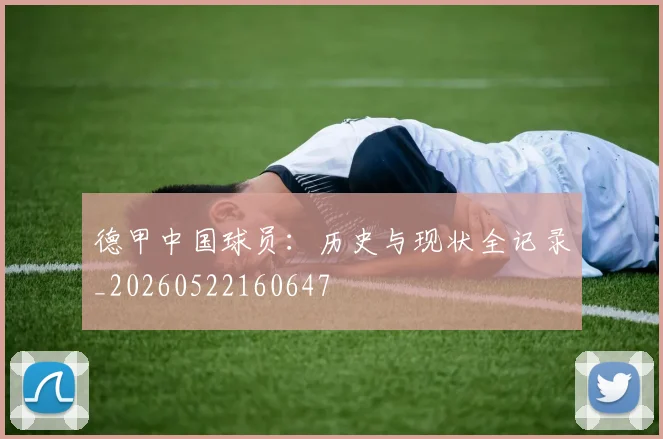 德甲中国球员：历史与现状全记录_20260522160647