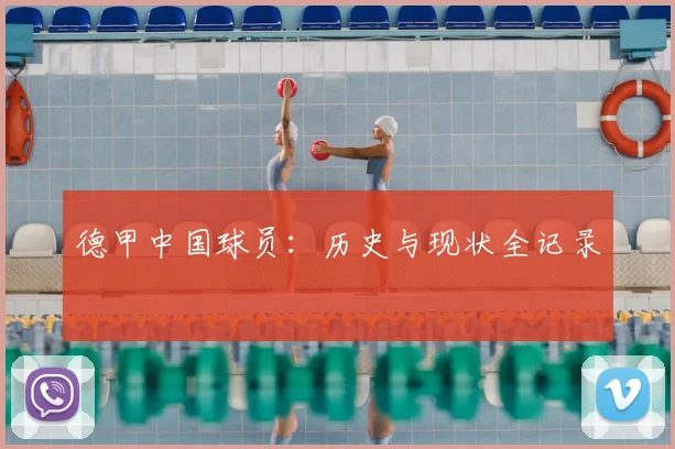 德甲中国球员：历史与现状全记录
